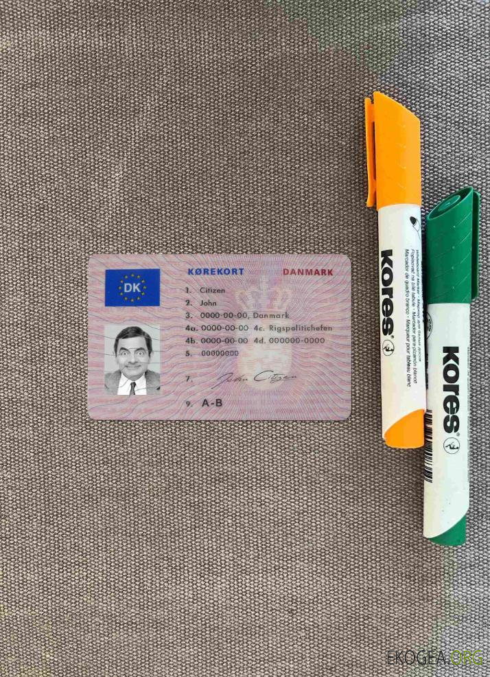 Permis de conduire danois (1997   2013)photolook AVANT